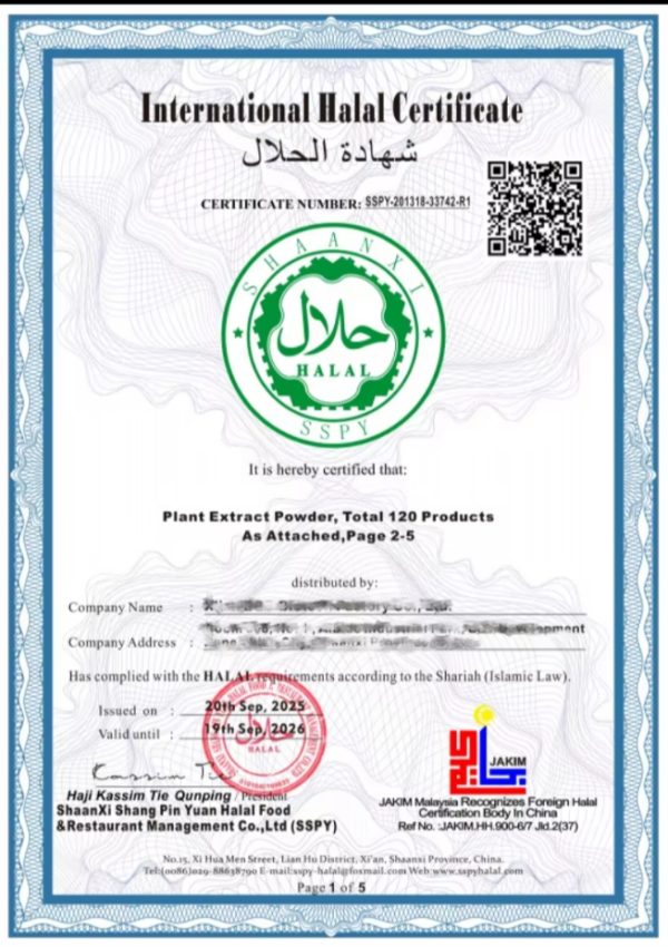 WhatsApp Image 2026-01-23 at 2.29.08 PM